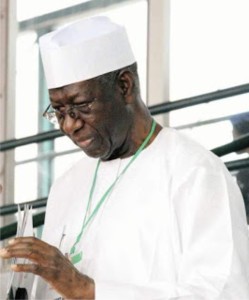 chief Anenih