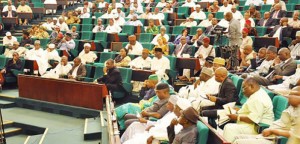 Members of House of rep sitting