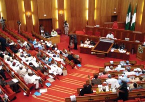 senate-sitting at 8th Inauguration