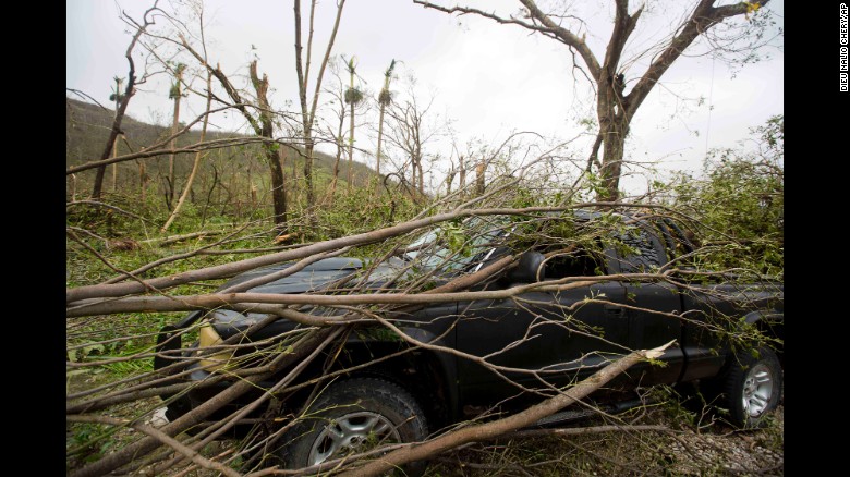 A vehicle sits covered in toppled tree limbs in Camp Perrin, a district of Les Cayes, Haiti.